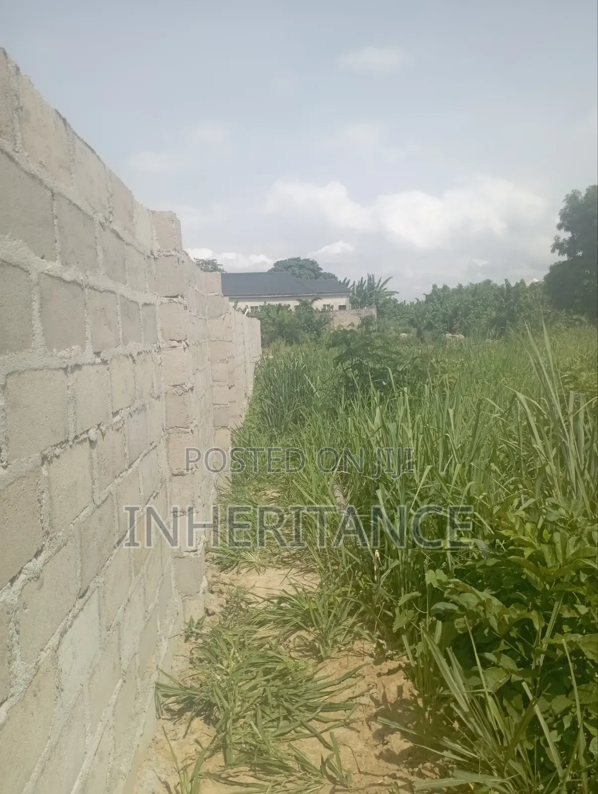 1plot of Land in Igbogbo
