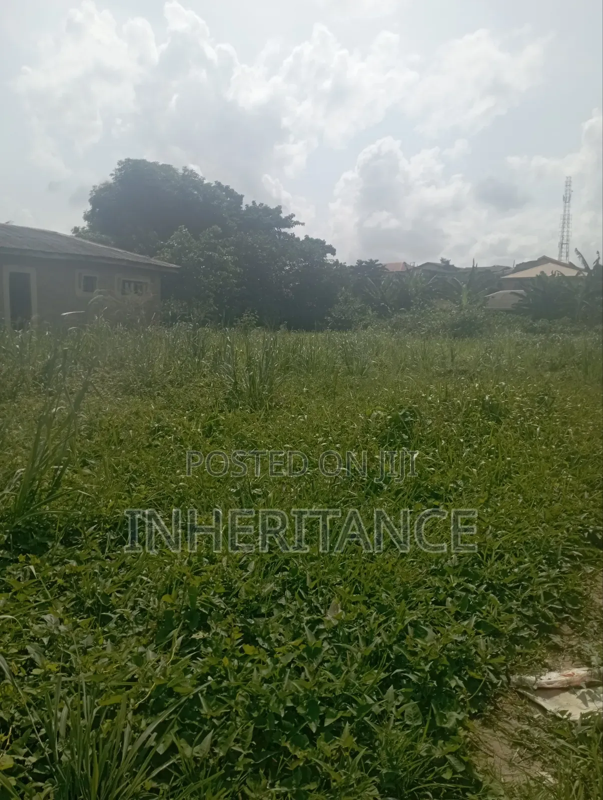 1plot of Land in Igbogbo