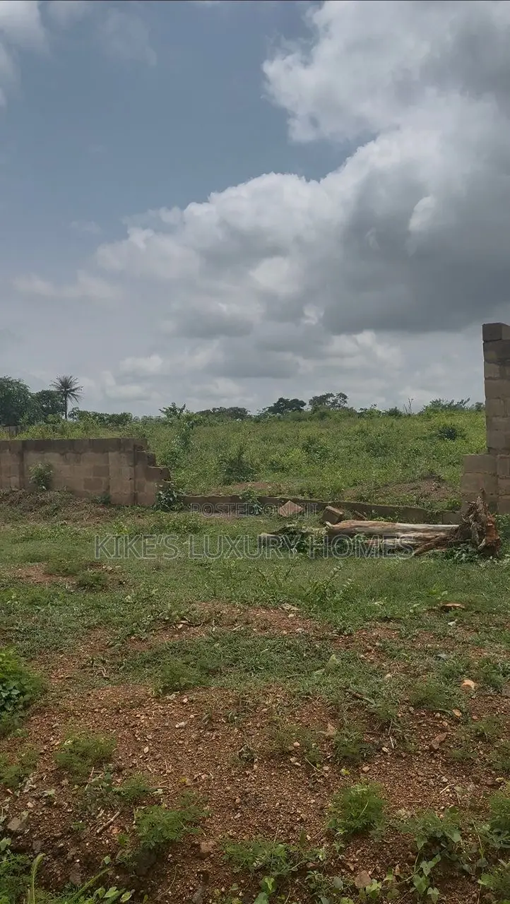 Plots of Land for Sale in Ido