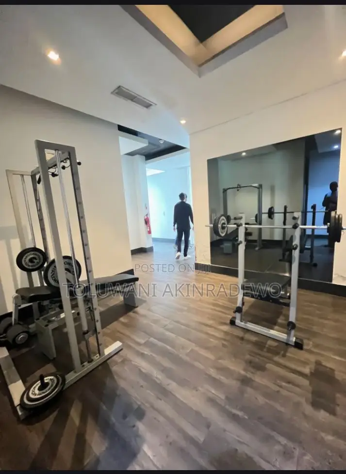 2bdrm Apartment in Old Ikoyi for rent in Old Ikoyi