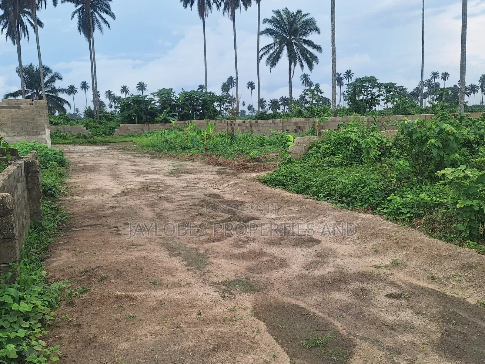 For Sale: 6 Plots at Army Range Extension, Igwuruta, Port Harcourt in Obio-Akpor