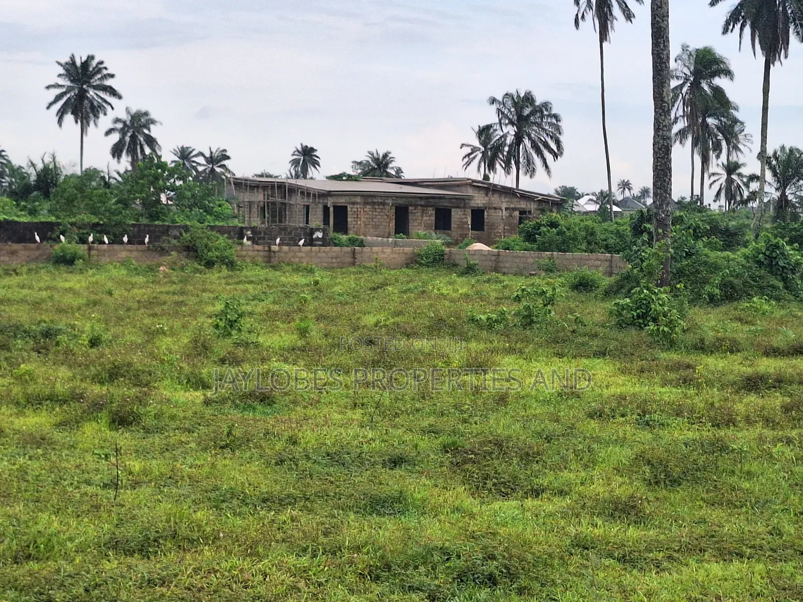 For Sale: 6 Plots at Army Range Extension, Igwuruta, Port Harcourt in Obio-Akpor