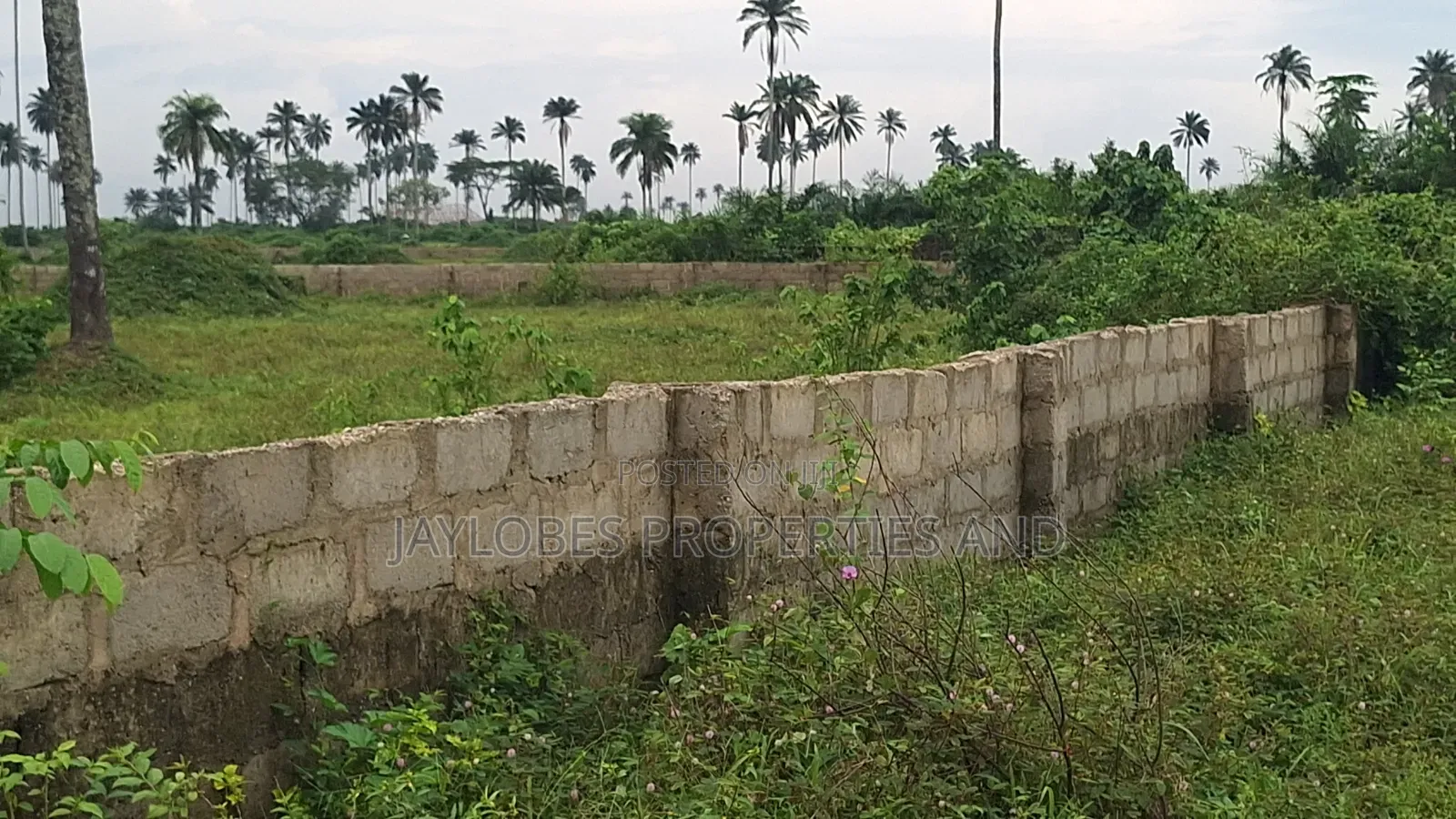 For Sale: 6 Plots at Army Range Extension, Igwuruta, Port Harcourt in Obio-Akpor