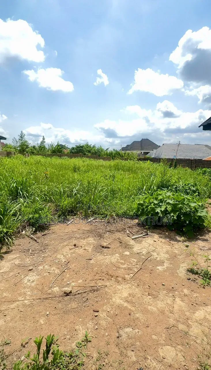Prime 765sqm Corner Piece Land for Sale – Wisdom Estate Olorunda. in Akobo