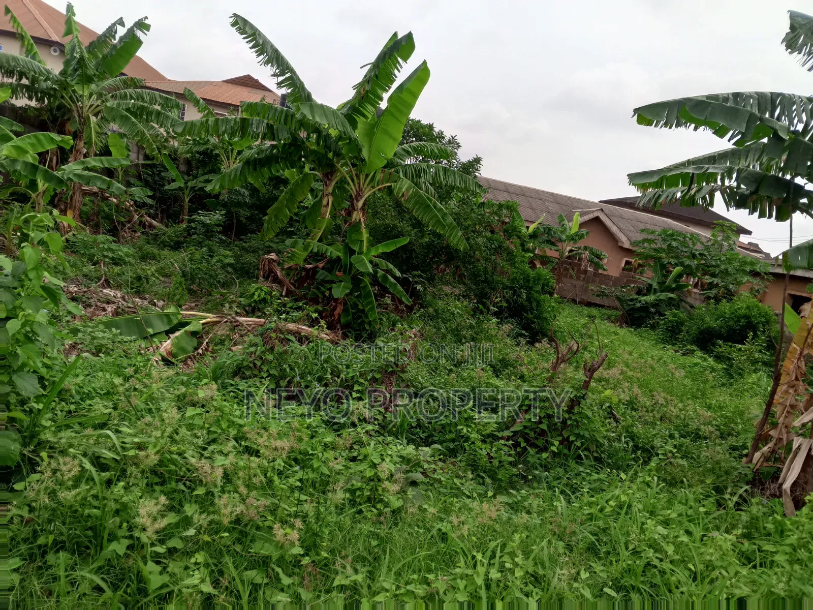 Family Deed Mr Sola in Igbogbo