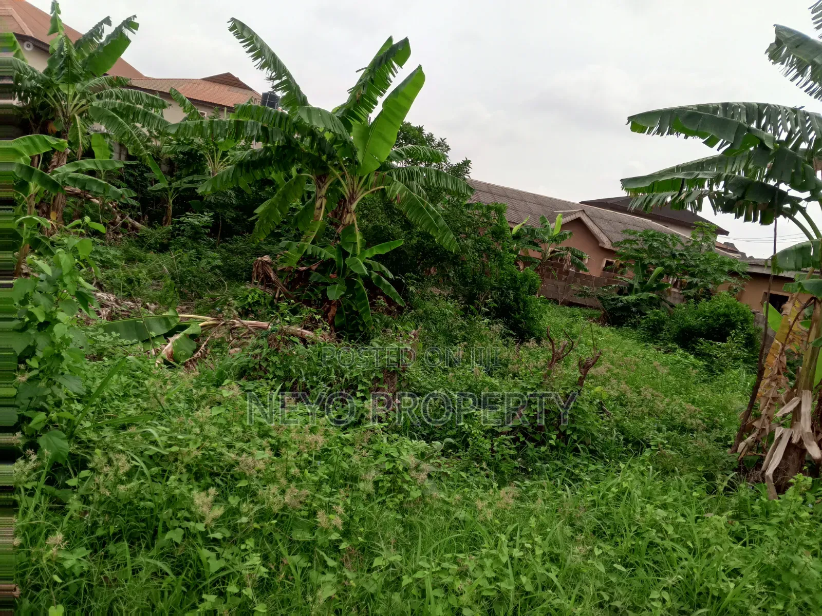 Family Deed Mr Sola in Igbogbo