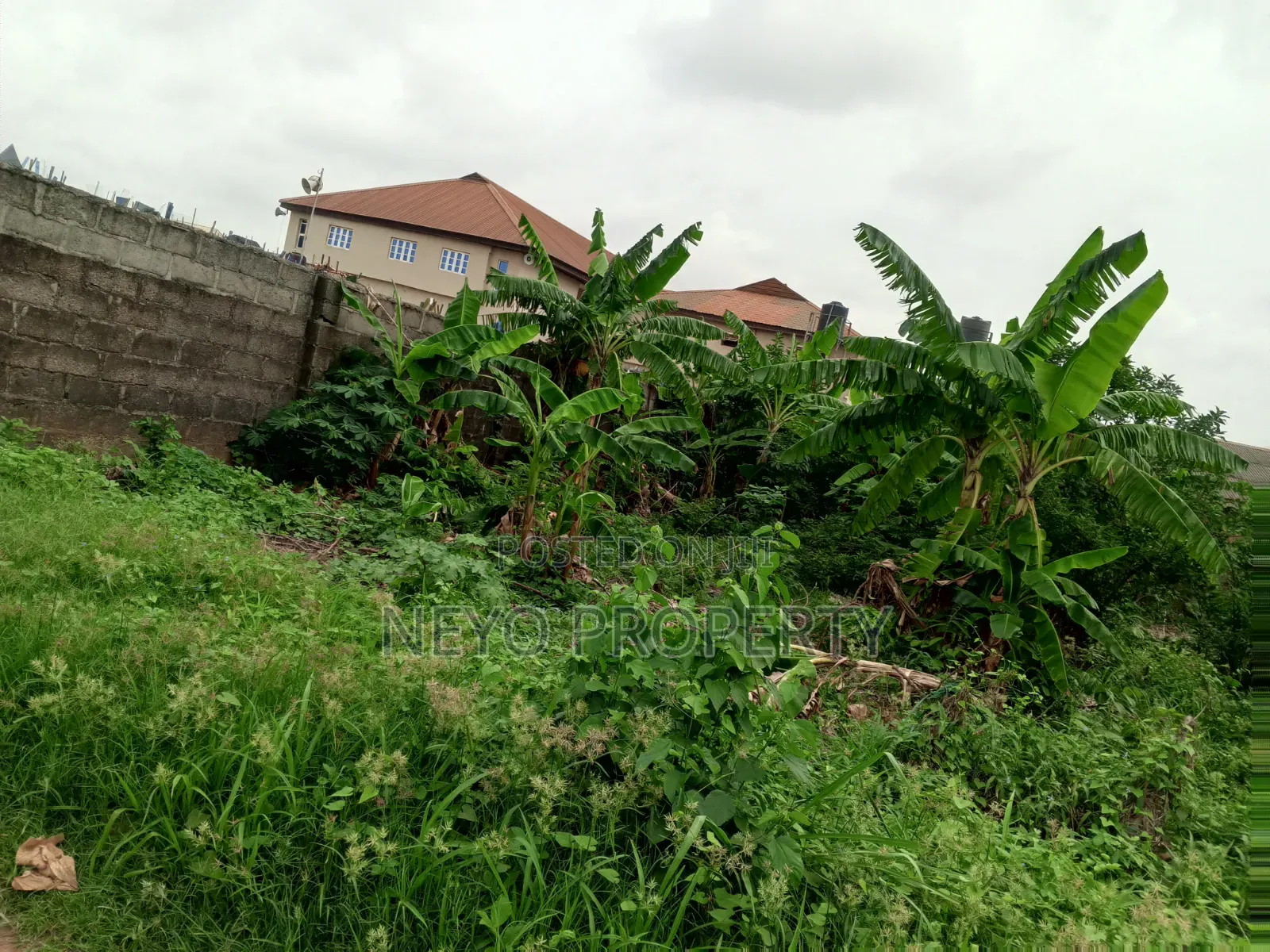 Family Deed Mr Sola in Igbogbo