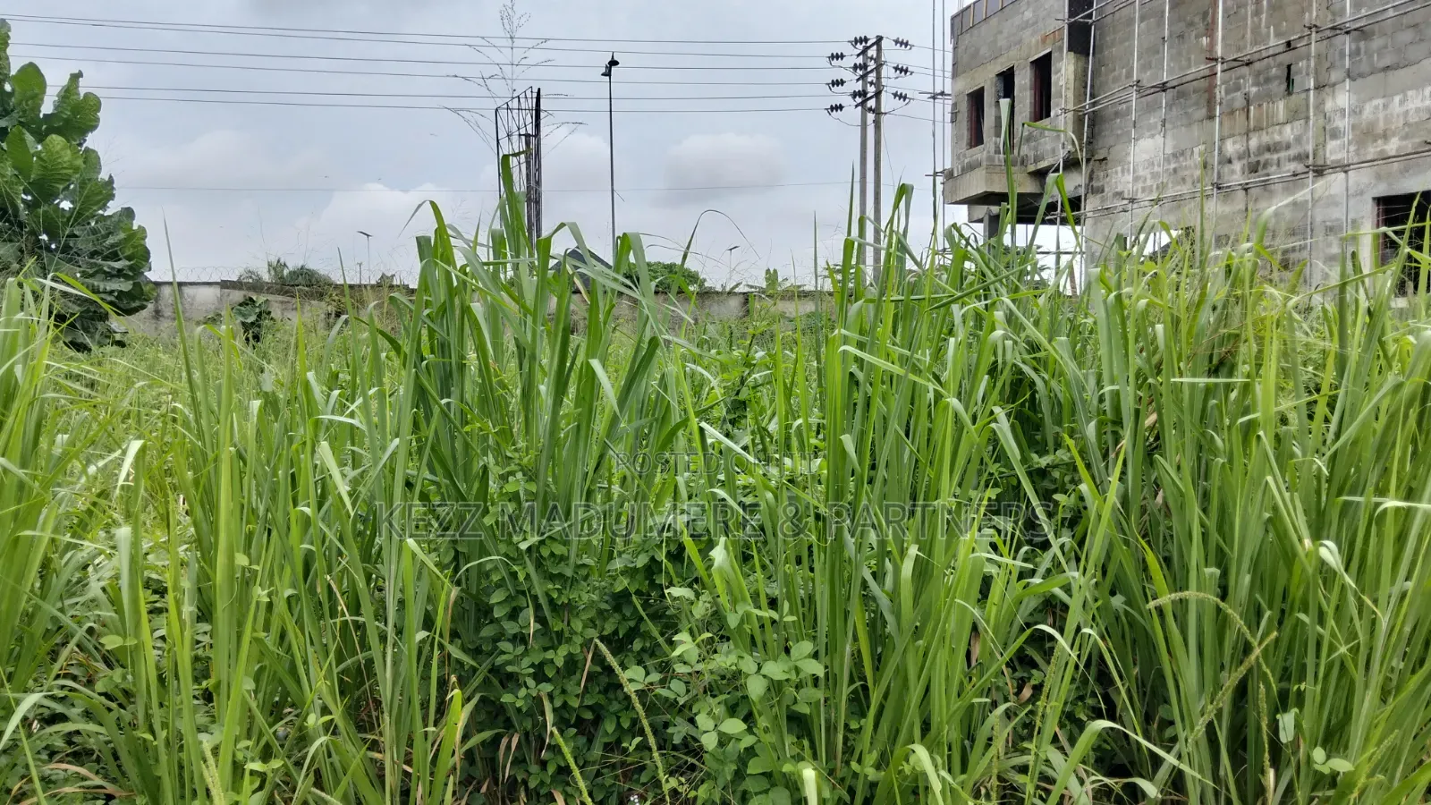For Sale: 550 SQMTRS at Gra Phase 8 Eliozu, Ph in Eliozu