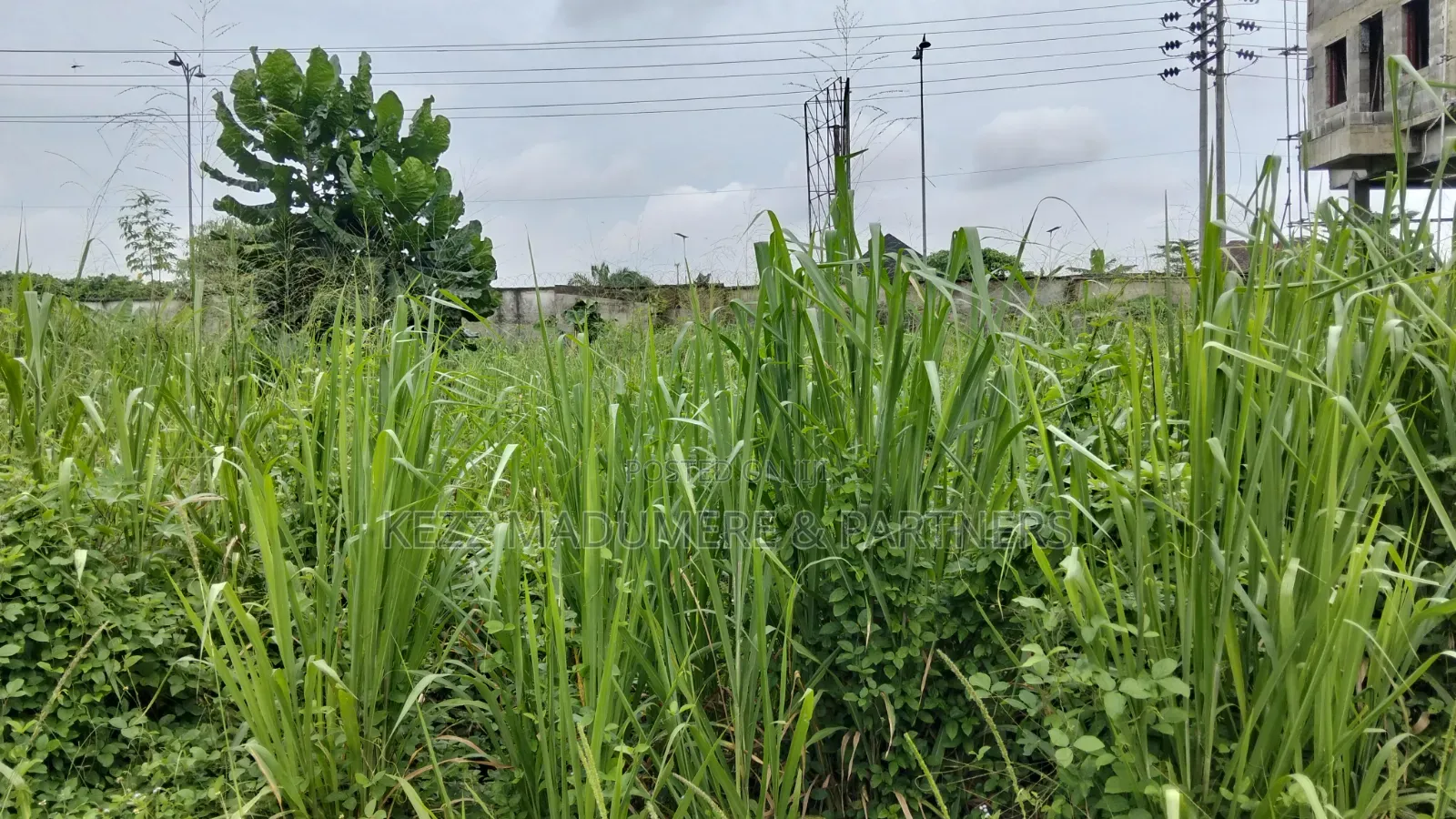 For Sale: 550 SQMTRS at Gra Phase 8 Eliozu, Ph in Eliozu