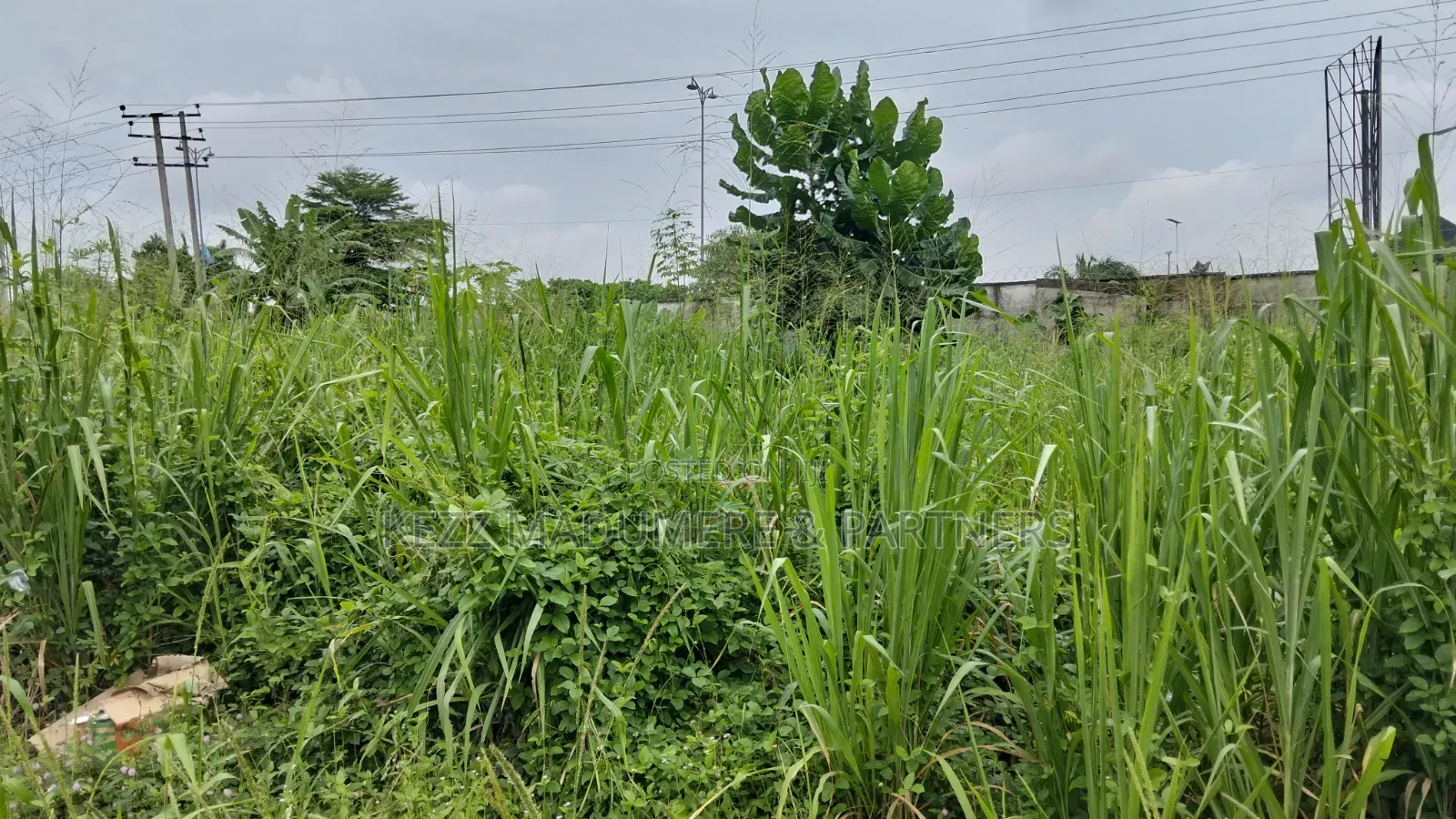 For Sale: 550 SQMTRS at Gra Phase 8 Eliozu, Ph in Eliozu