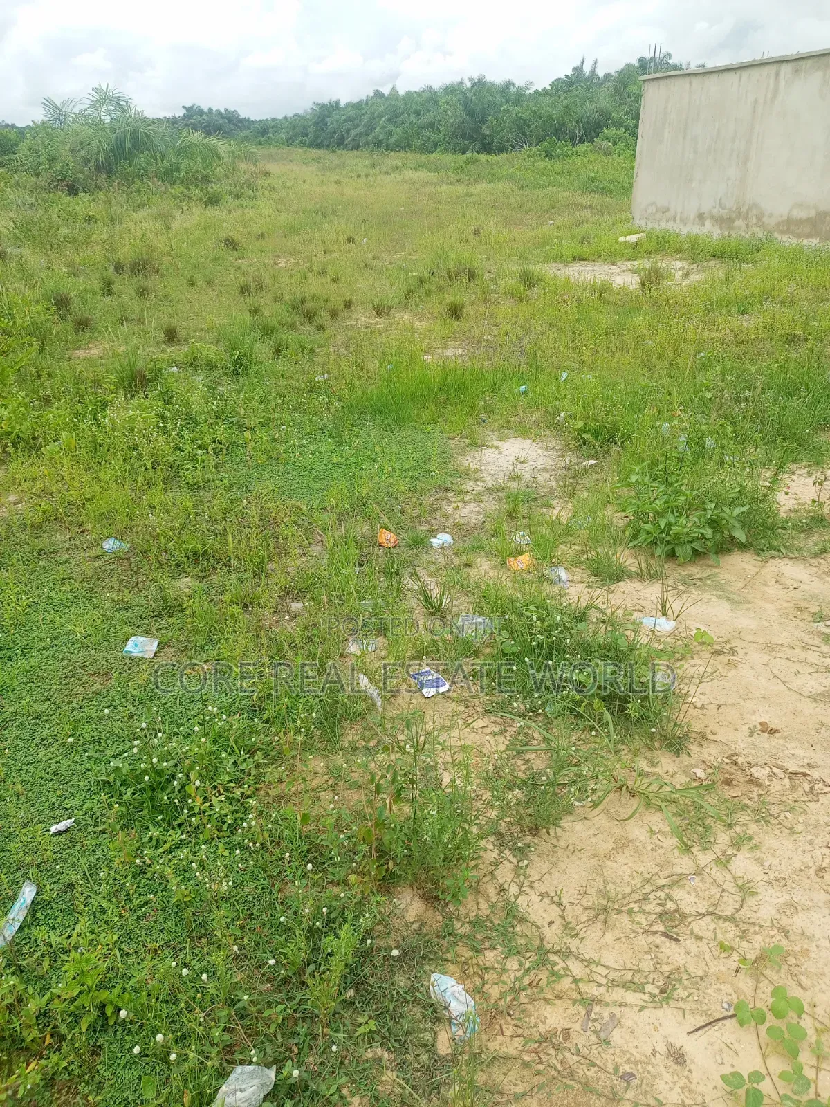 Owudil Kano Genuine Land in Wudil