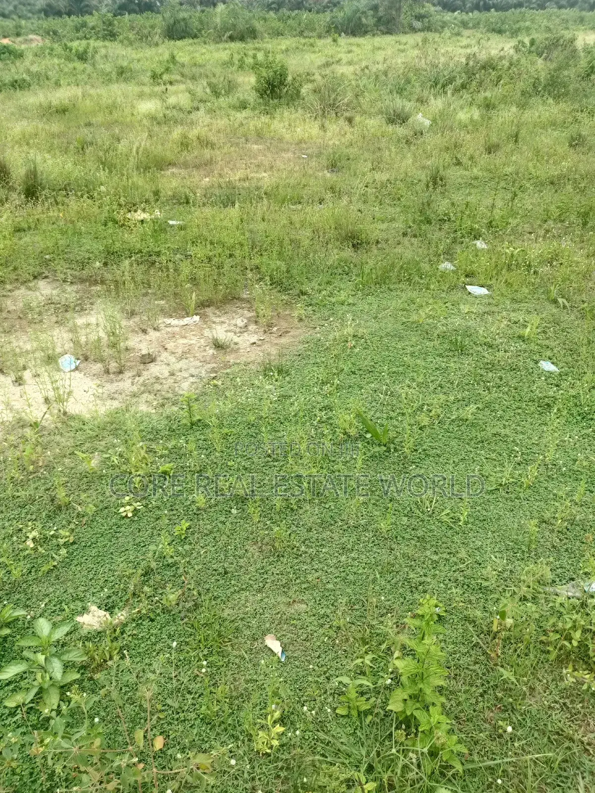 Owudil Kano Genuine Land With Instant Allocation in Wudil