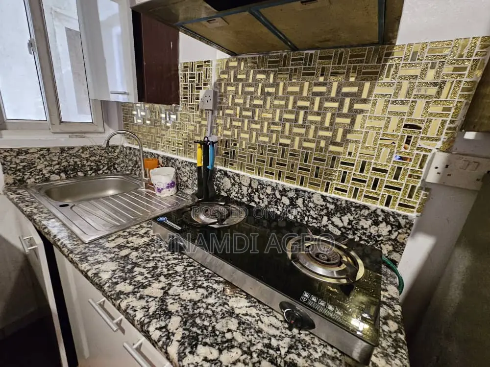 Furnished 1bdrm Apartment in Lekki Phase 1 for rent in Lekki Phase 1