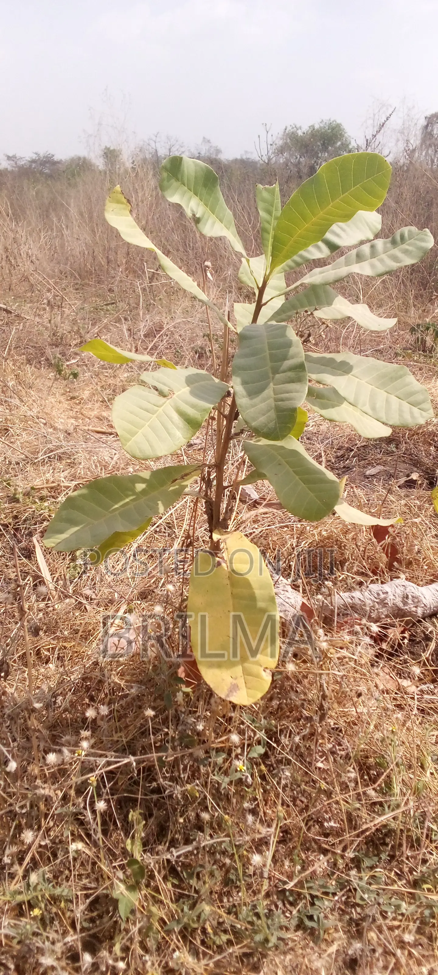 1842sqm Land In Guzape For Sale in Guzape District