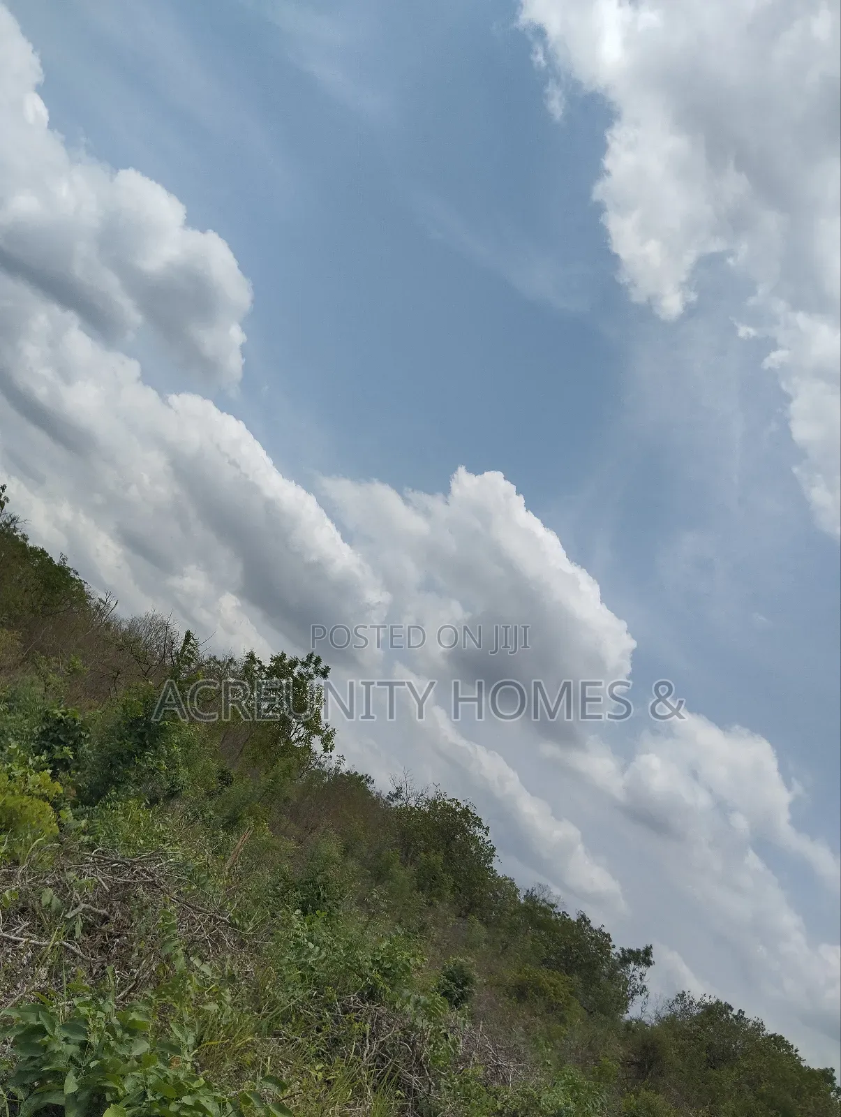 30 Acres of Farmland for Sale at Ijegun Village, Iseyin Ibadan Road in Iseyin