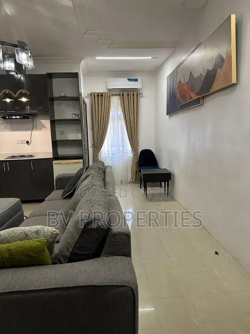 Furnished Mini Flat in Lekki Phase 1 for rent in Lekki Phase 1