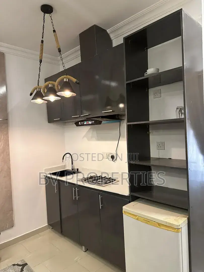 Furnished Mini Flat in Lekki Phase 1 for rent in Lekki Phase 1