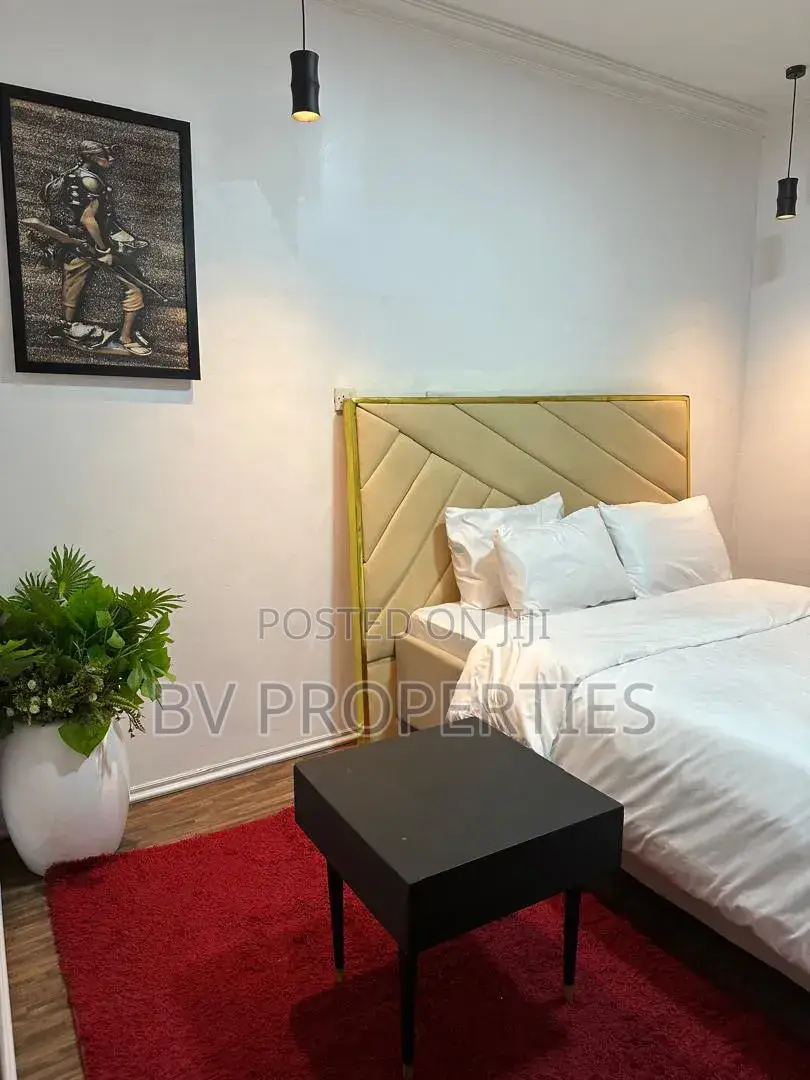 Furnished Mini Flat in Lekki Phase 1 for rent in Lekki Phase 1