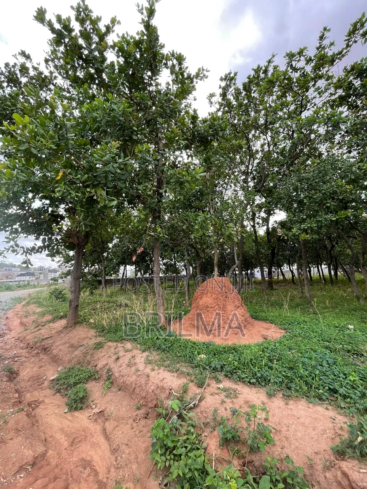 2500sqm Land In Lifecamp For Sale in Life Camp