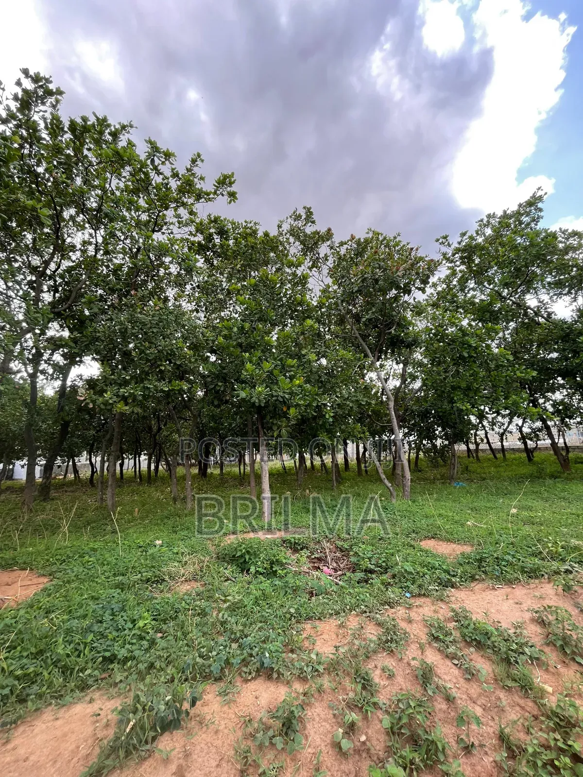 2500sqm Land In Lifecamp For Sale in Life Camp