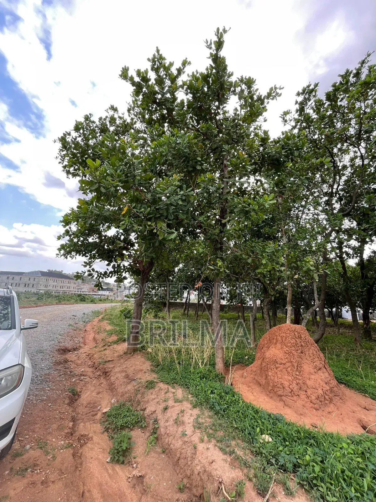2500sqm Land In Lifecamp For Sale in Life Camp