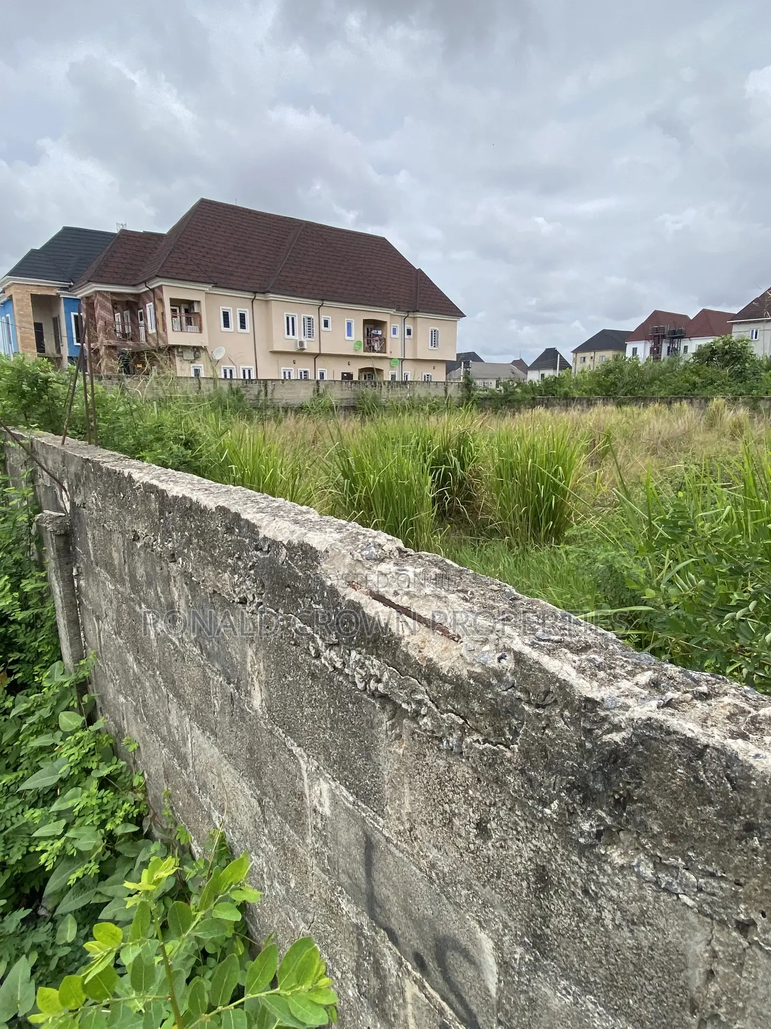 Half Plot of Land With Cofo at Ago Palace Way, Isolo in Ago Palace