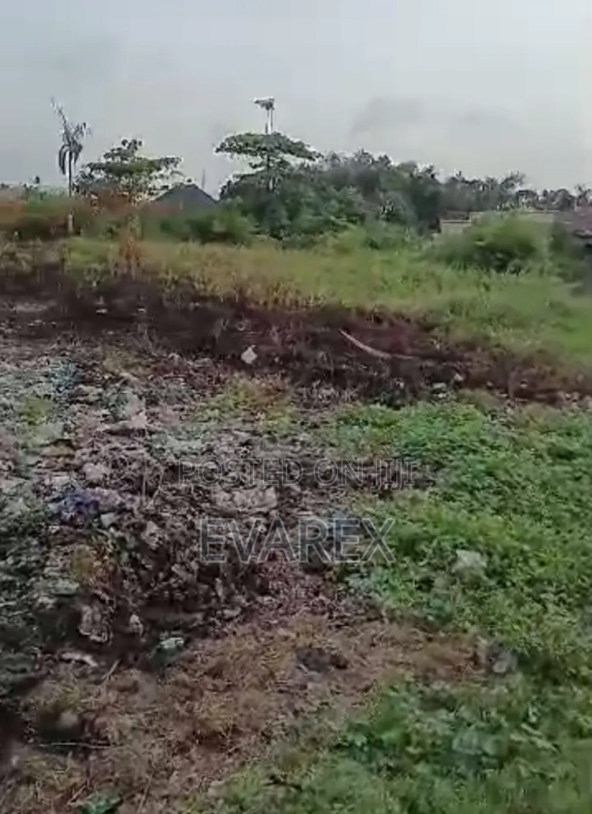 Very Cheap. A Full Plot of Dry Land at Iyana-Isashi Ojo for Sale in Iba / Ojo
