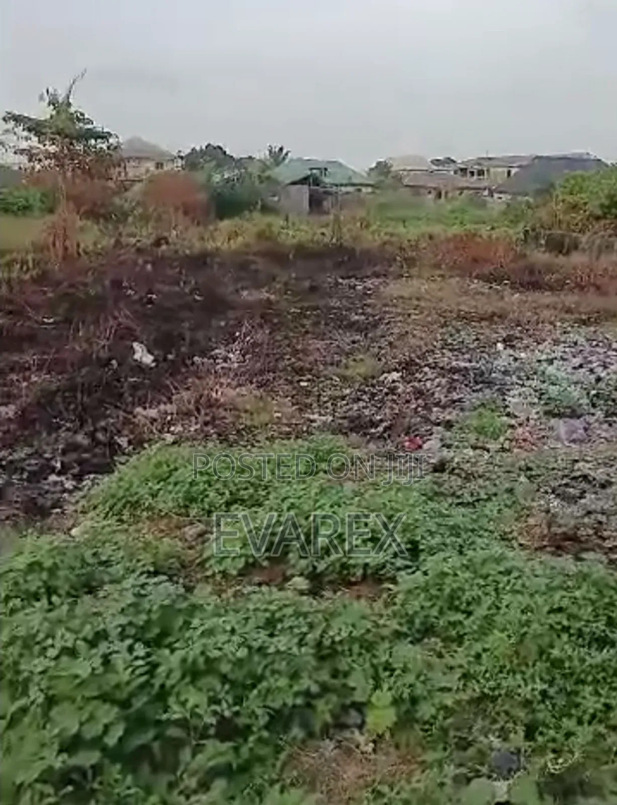 Very Cheap. A Full Plot of Dry Land at Iyana-Isashi Ojo for Sale in Iba / Ojo
