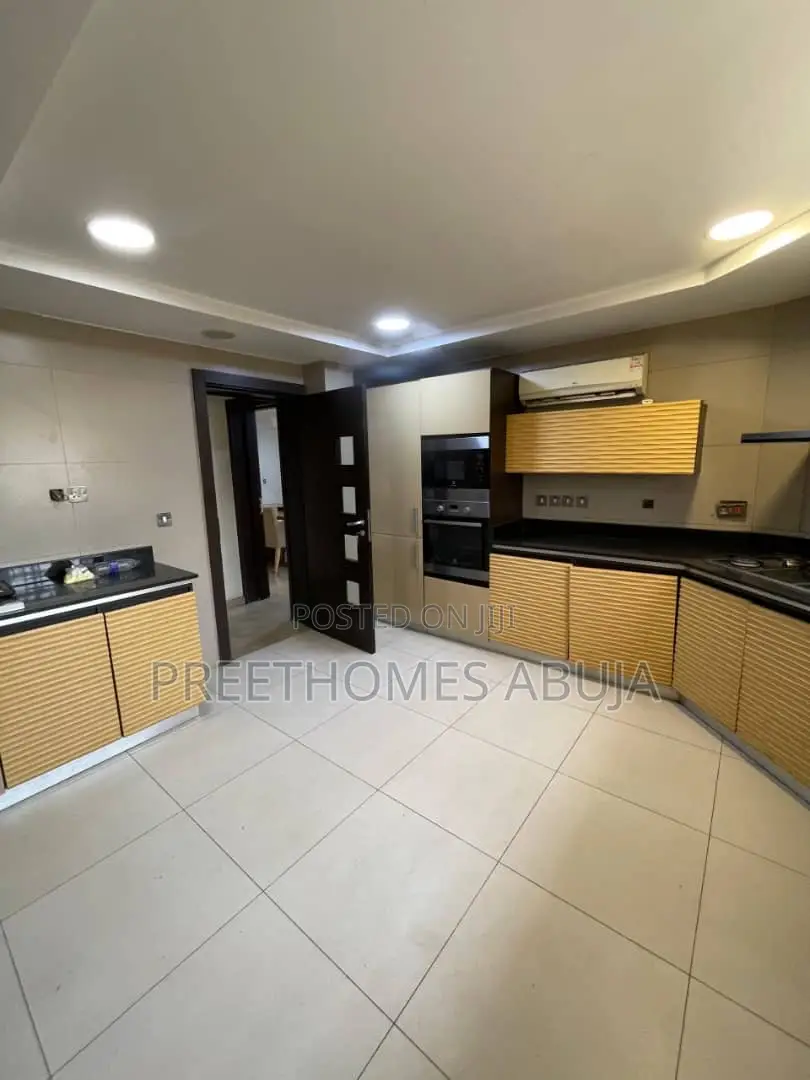 Furnished 6bdrm Duplex in Asokoro for rent in Asokoro