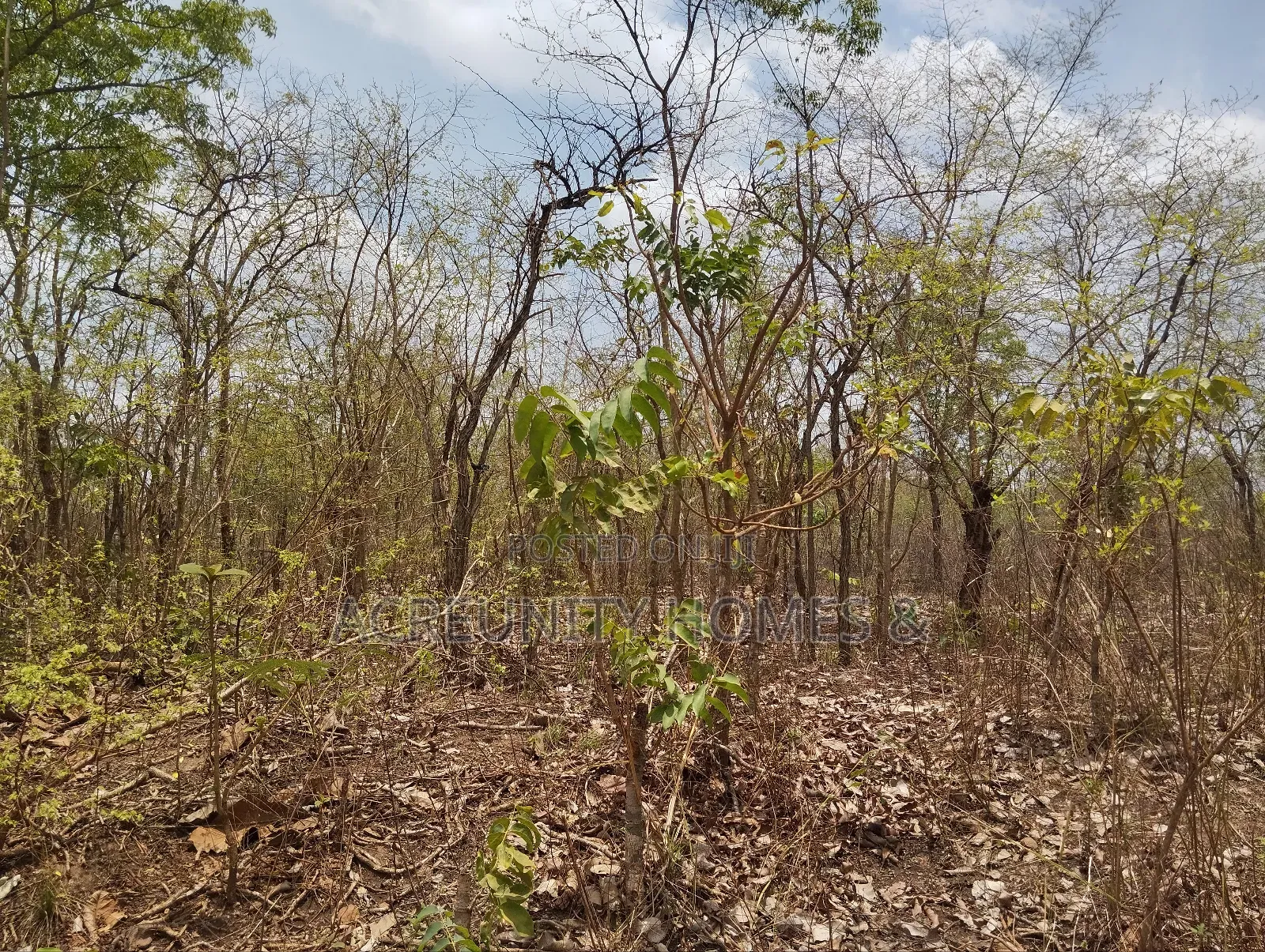 100 Acres of Farmland for Sale at Akinyel Village Abugaga Ikere Iseyin in Iseyin