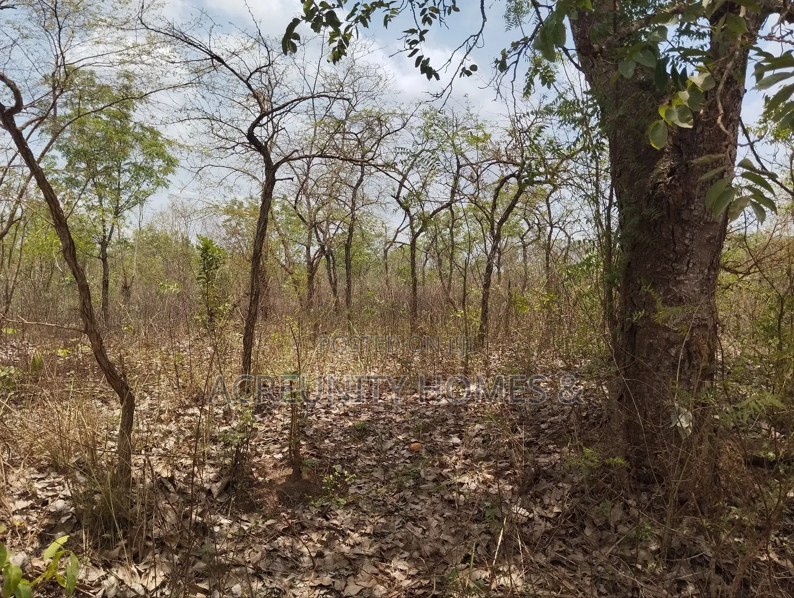 100 Acres of Farmland for Sale at Akinyel Village Abugaga Ikere Iseyin in Iseyin