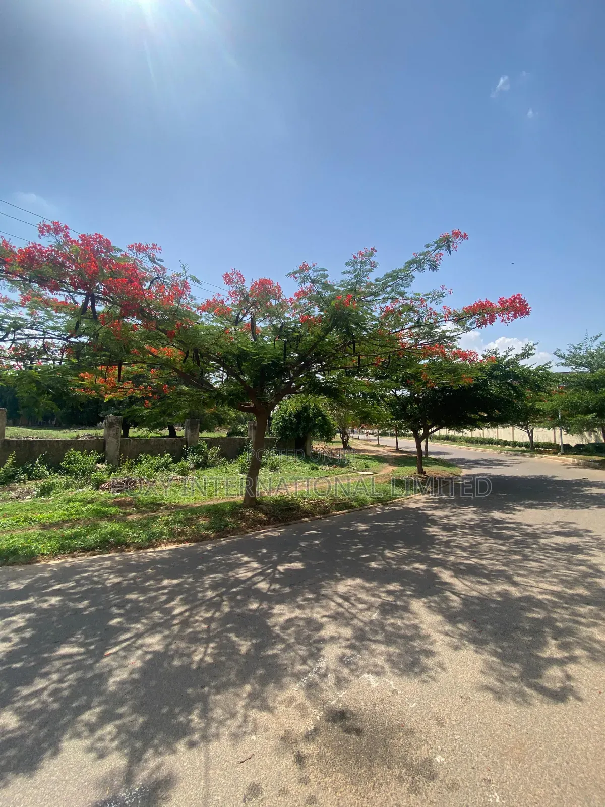 1 Hectare Jabi Commercial Land in Jabi