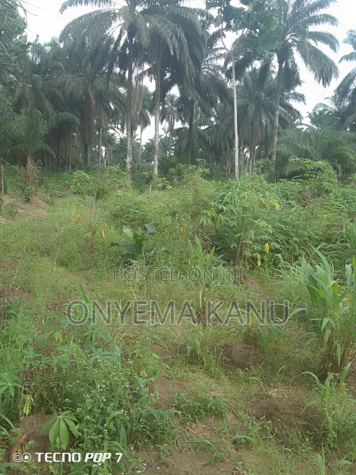 7 Plots at New Layout in Ukwa