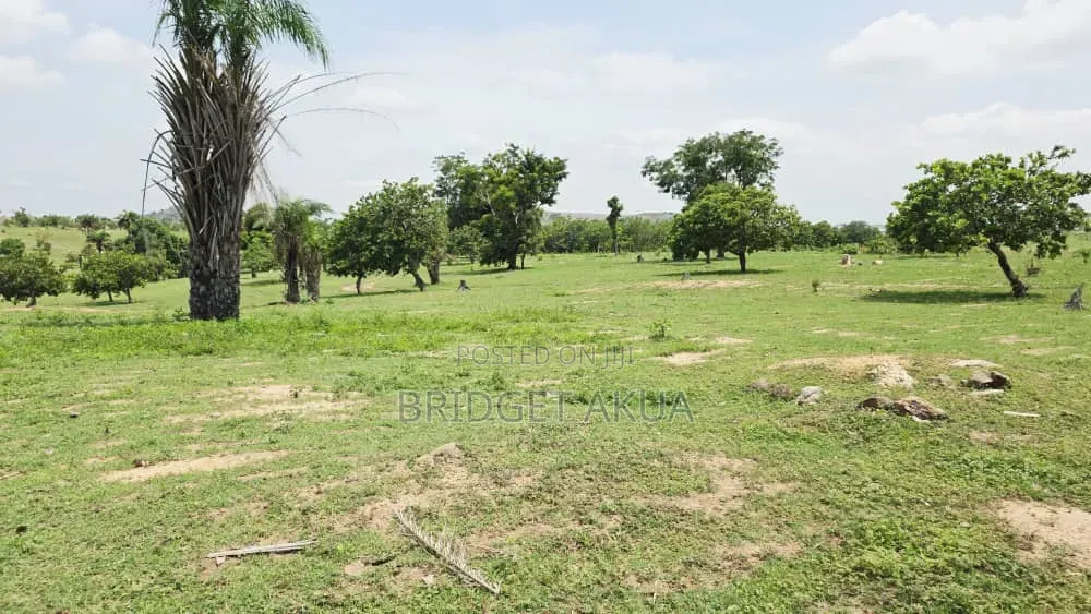 Buy Land in a Secure Abuja Estate in Wasa