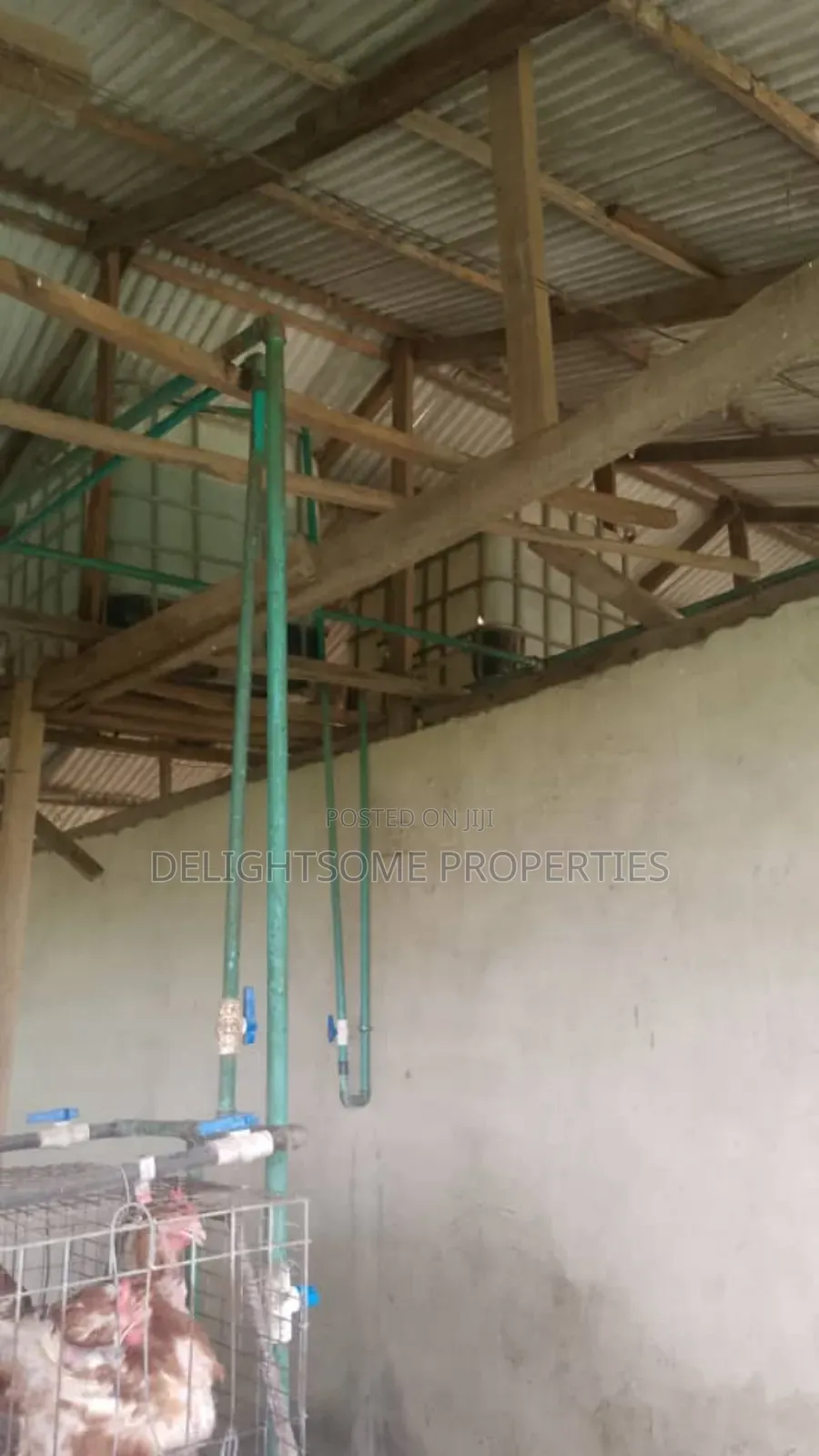For Sale. Poutry Pen And Farm Land in Ido