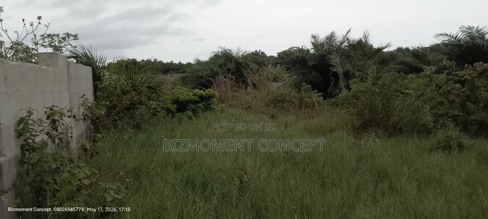 Five and Half Plots of Land for Sale in Lakowe