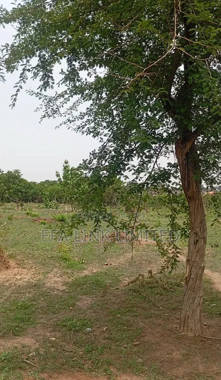 1000sqm Prime Plots in Lokogoma, Abuja | All-Inclusive Prices + DPC in Lokogoma