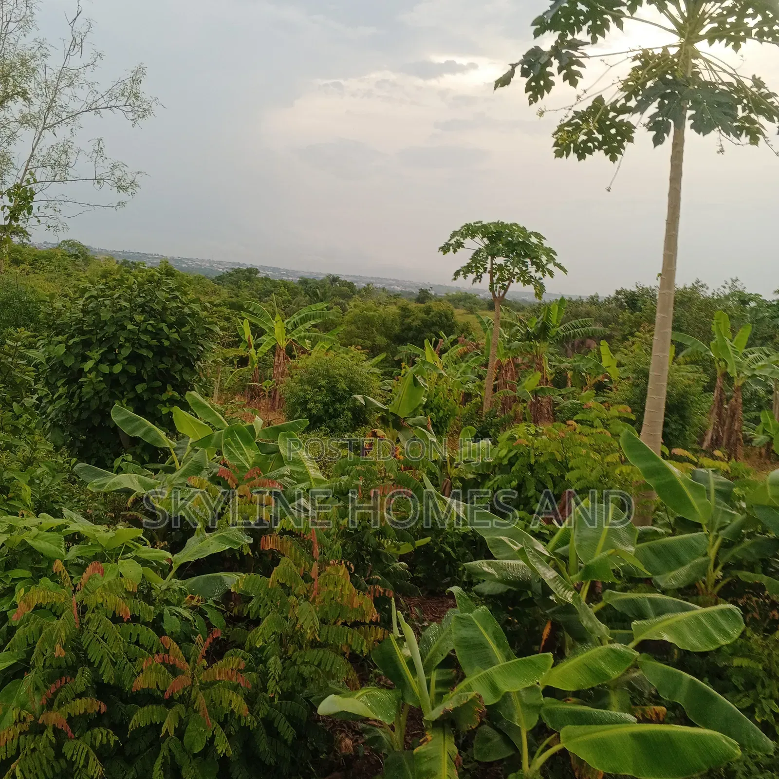 A Plot of Land for Sale at Alagada in Obafemi-Owode