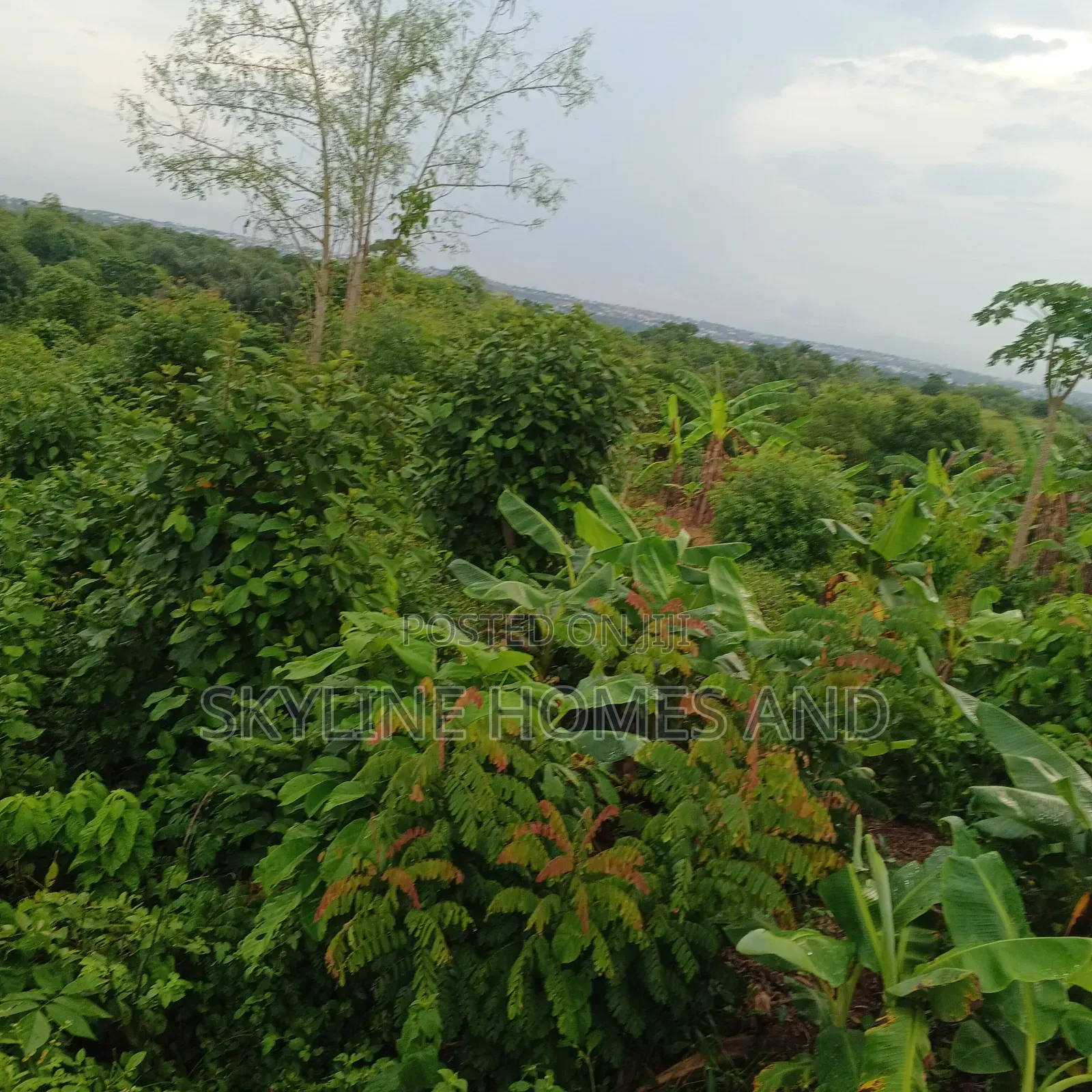 A Plot of Land for Sale at Alagada in Obafemi-Owode