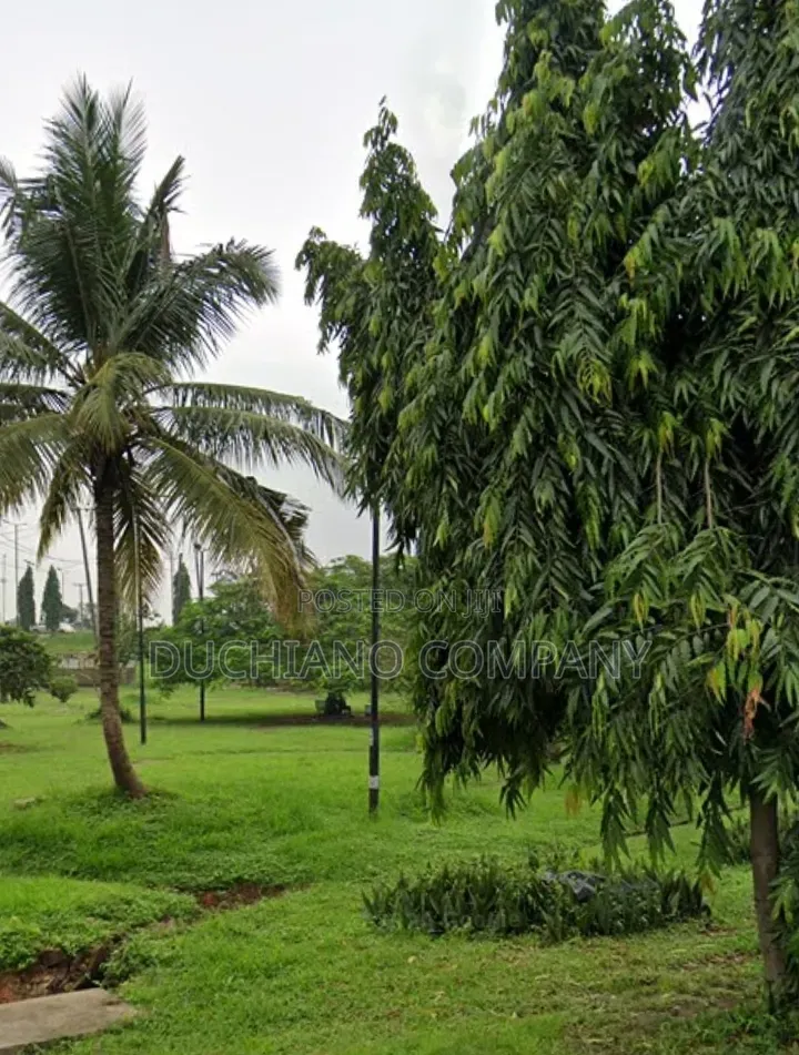 Hakeem Dickson, Lekki Ph 1: 1,180sqm Land for Sale in Lekki Phase 1