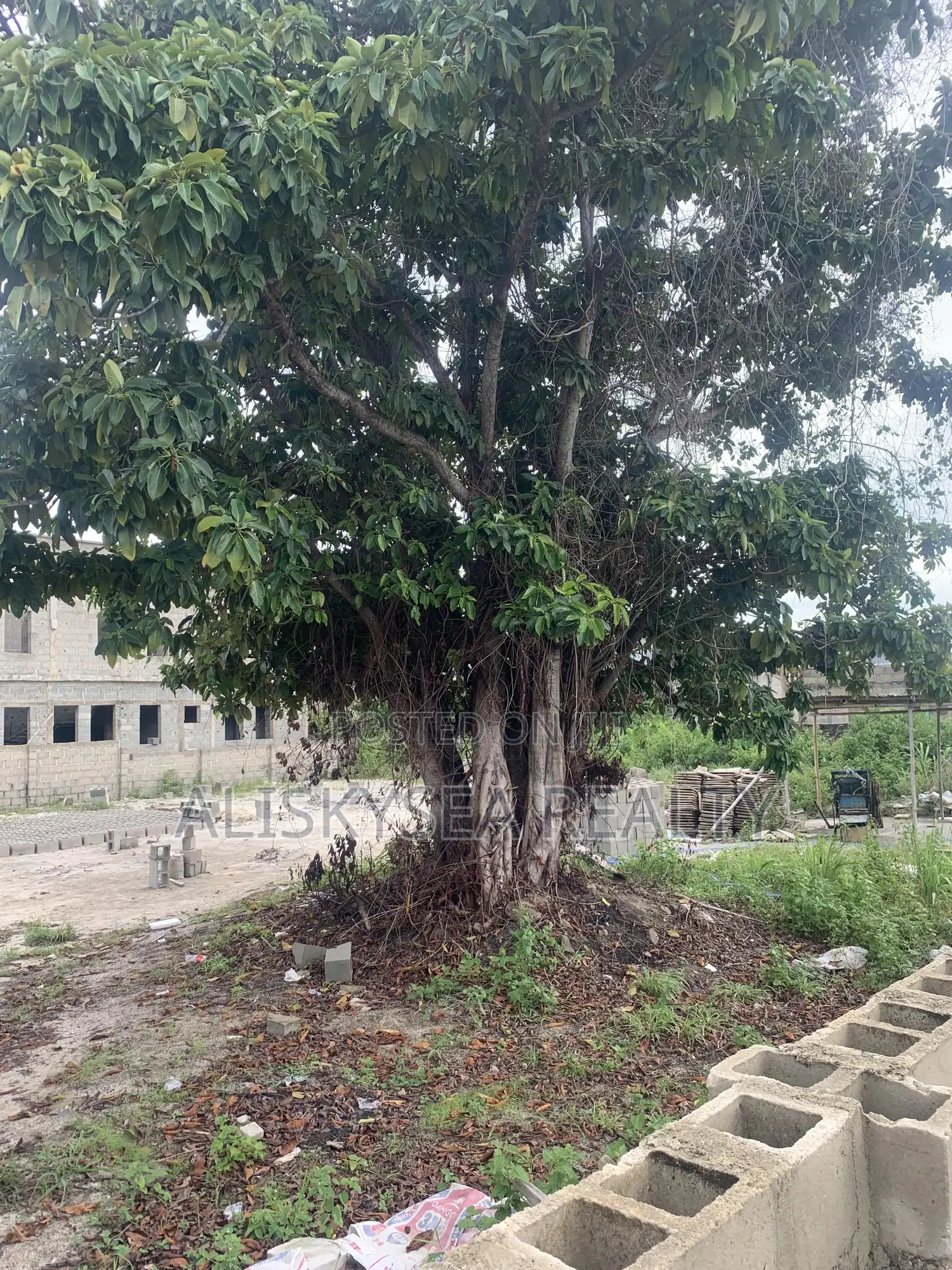 Dry 450sqm Estate Land for Sale at Lakowe Near Golf Estate in Lakowe