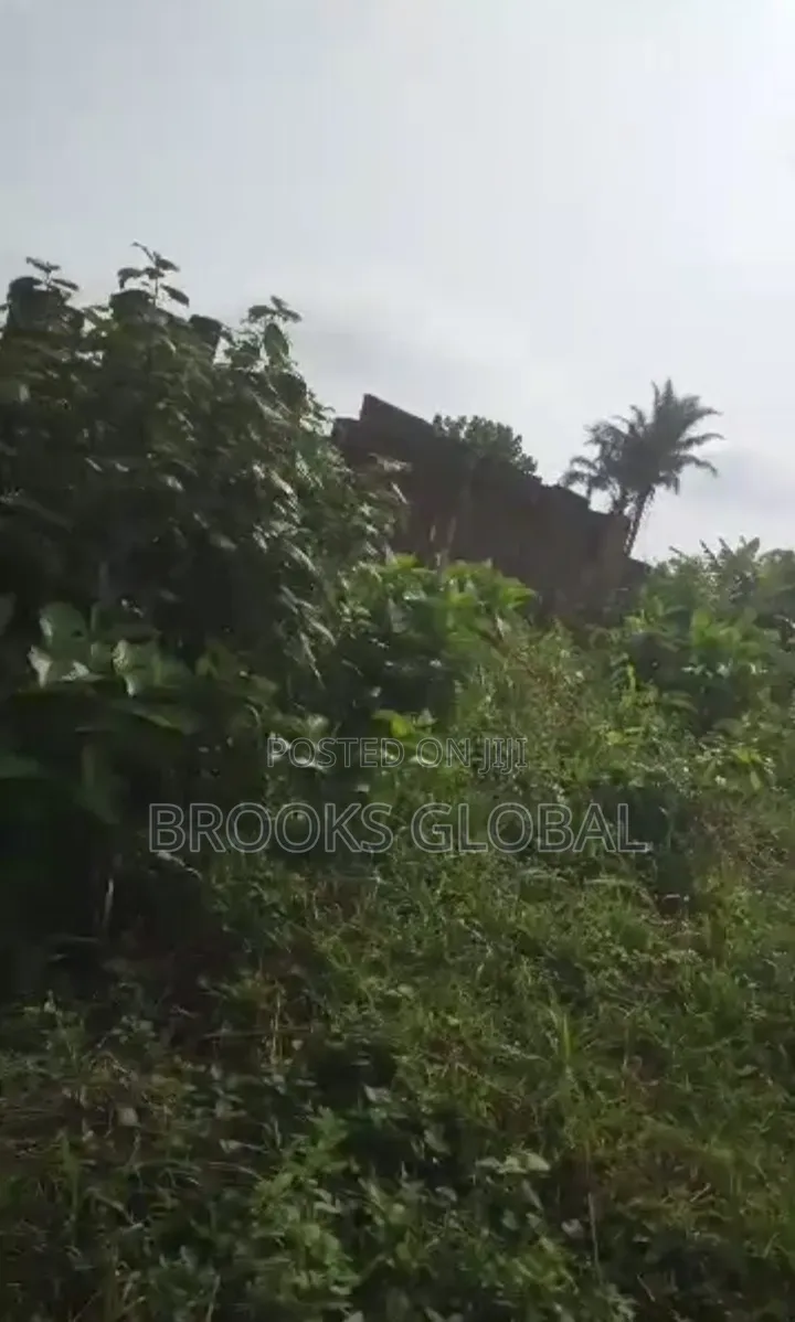 A Flat Land of 100/100 at Evboneka 1 for Sale in Benin City
