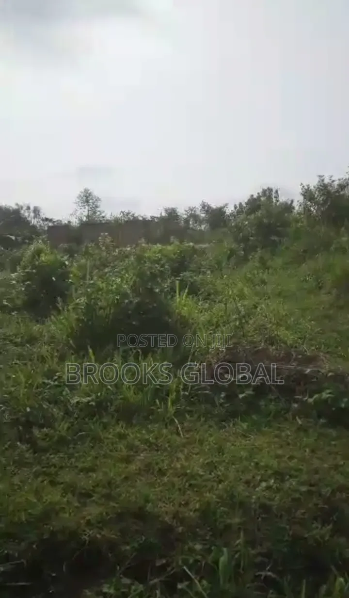 A Flat Land of 100/100 at Evboneka 1 for Sale in Benin City