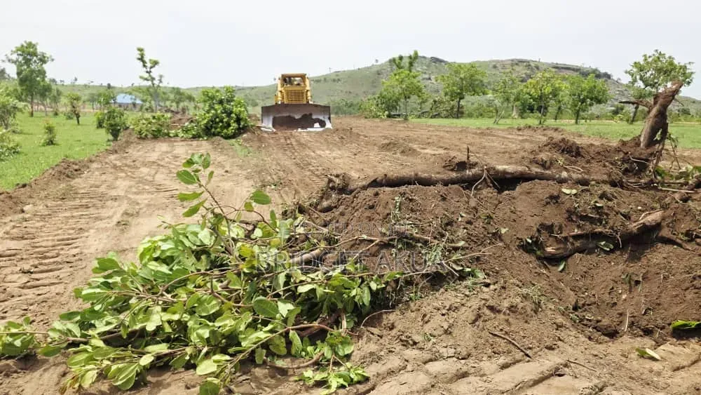 Land Promo Sale in Apo Burum West District in Wasa