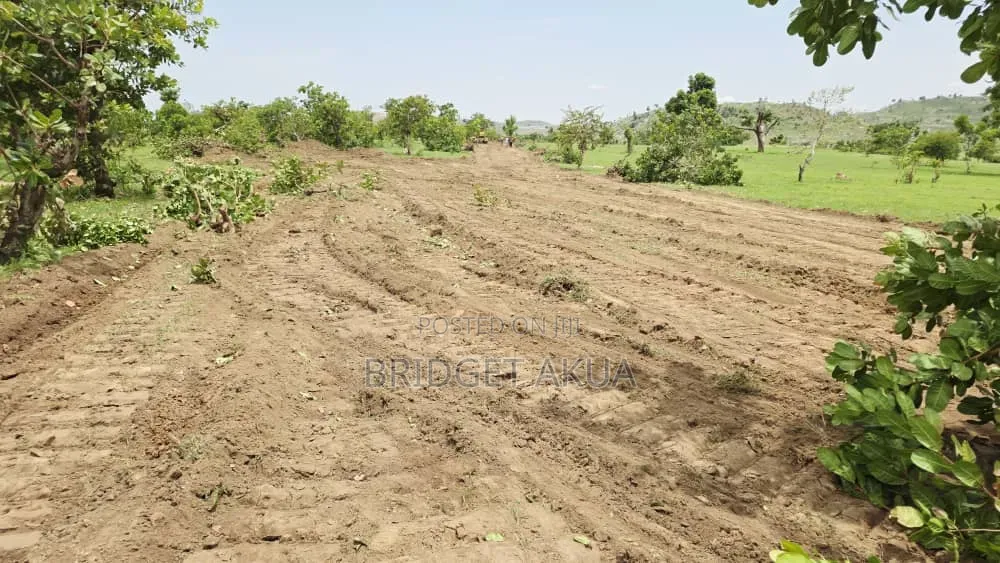 Land Promo Sale in Apo Burum West District in Wasa