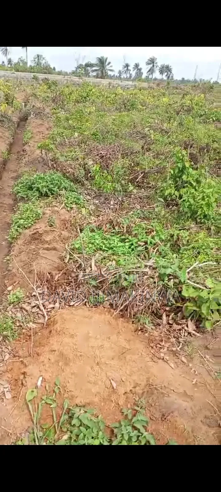 Land Available at Woji Alesa Portharcourt in Port-Harcourt