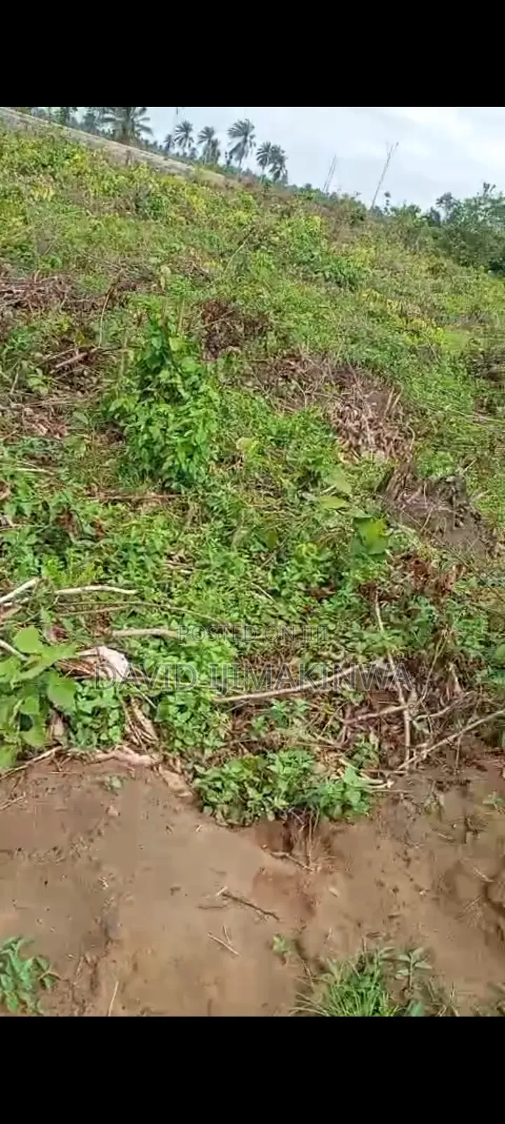 Land Available at Woji Alesa Portharcourt in Port-Harcourt