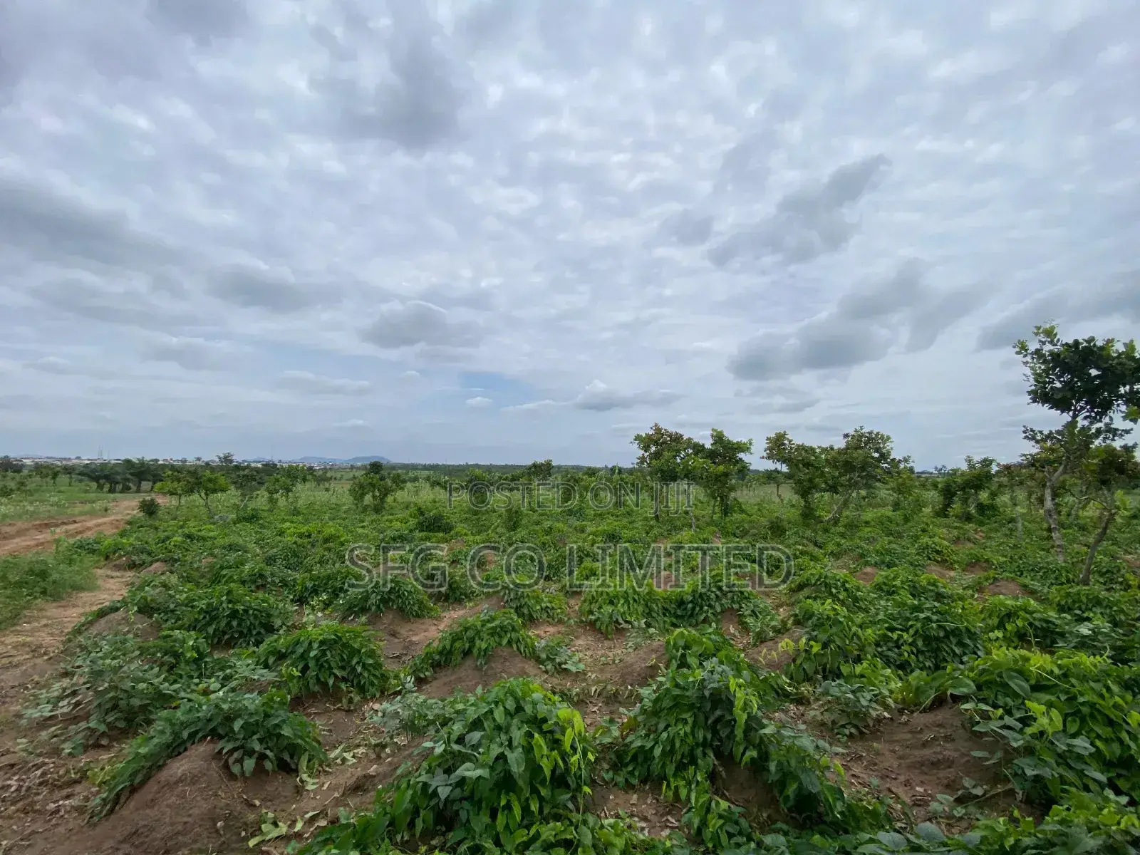 Affordable Land in Abuja in Kuje