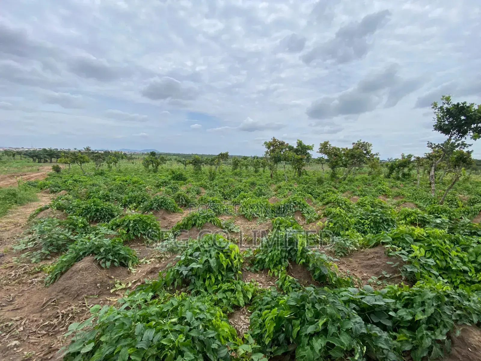 Affordable Land in Abuja in Kuje