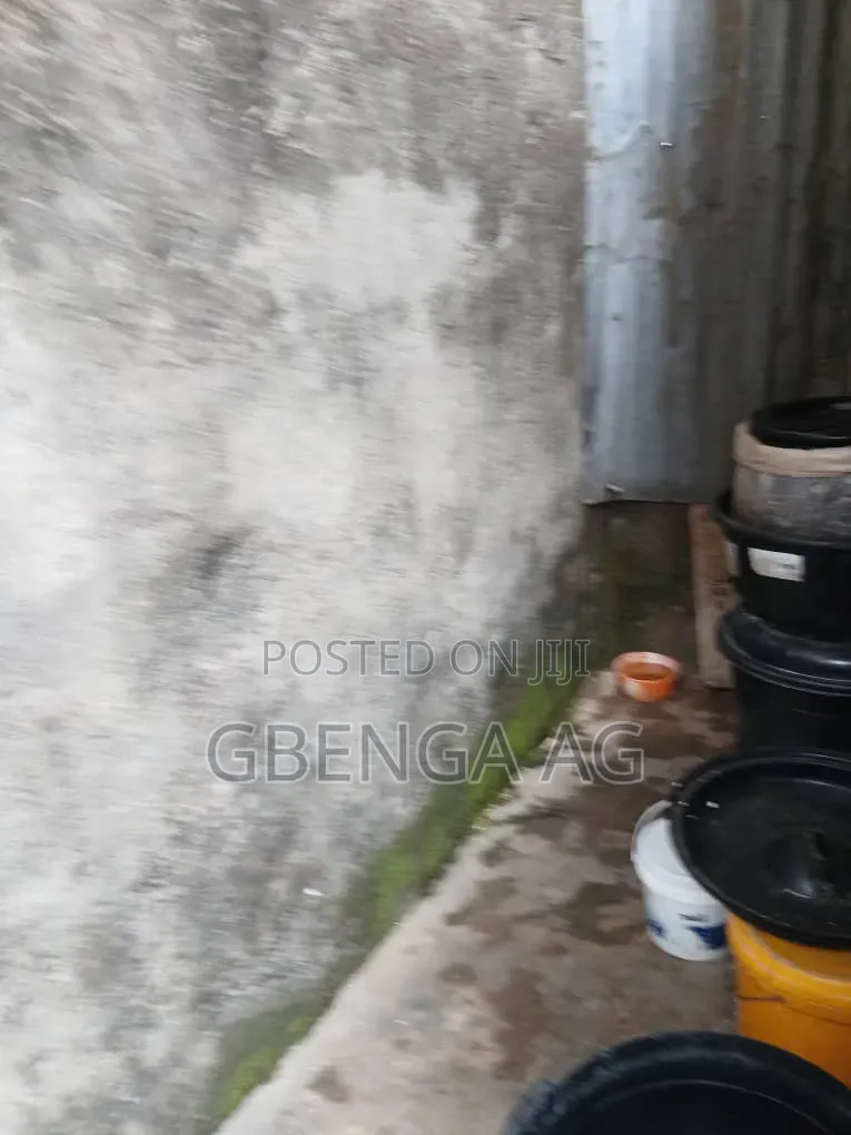 Full Plot With Demolishable Bungalow for Sale at Agege Lagos in Oke-Odo